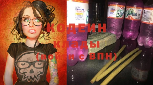 прущий лед Алзамай