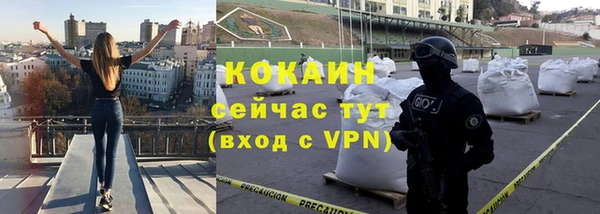 прущий лед Алзамай