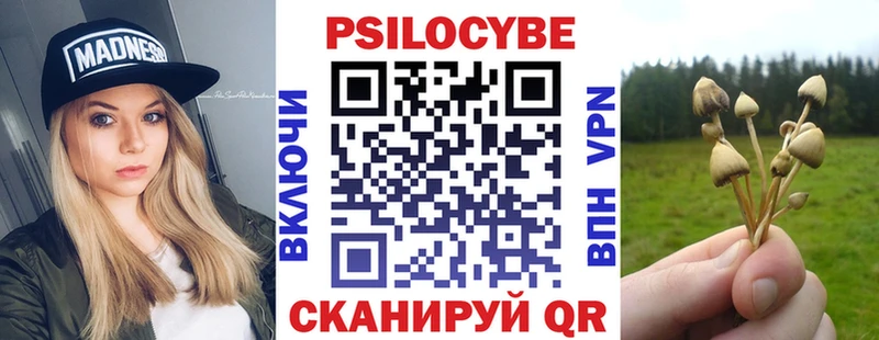 Галлюциногенные грибы Psilocybine cubensis  Купить закладки  Славгород 